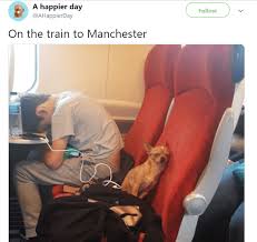 This Twitter Page Is All About Feel Good Tweets To Make Your a Happier Person - I Can Has Cheezburger?