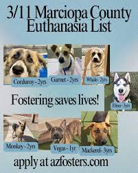 LAST DAY TO LIVE‼️‼️