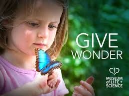 Annual Report to Donors 2011