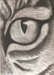 Cats Eye Easy Charcoal Drawings Pencil Drawings Of Animals Animal Sketches Easy
