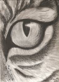 Draw two circles, one big and one smaller. Cats Eye Pencil Drawings Of Animals Easy Charcoal Drawings Animal Sketches Easy