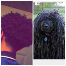We did not find results for: Palo Roast Page On Twitter Nigga Head Look Dirty Ass Dog Hair Shit Look Like A Greasy Ass Toothbrush Only Bitch He Pulled Was Vivian Https T Co Qbjv8an7hh