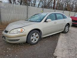 Image result for Impala Beige 2009 Audi