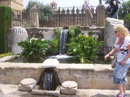 Un Paseo Por Cordoba Cordoba Espana Paseos