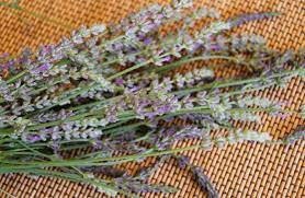 How To Make Lavender Extract The Coconut Mama Lavender Extract Lavender Flower Extract
