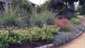 When i see this beautiful grass in october, it takes my breath away. Don T Overlook Ornamental Grasses Backbone Valley Nursery