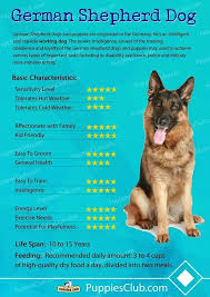 Gsd Characteristics Dog Training Dog Training Tips Easiest Dogs To Train