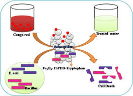 Congo red, first of the synthetic dyestuffs of the direct type, that is, not requiring application of a mordant (a substance such as tannin or alum used to fix the colour to cotton fibres). Amine Functionalized Magnetic Iron Oxide Nanoparticles Synthesis Antibacterial Activity And Rapid Removal Of Congo Red Dye Journal Of Molecular Liquids X Mol