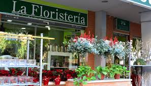 La Floristería de Sevilla
