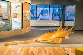 This Is From The Monster Fish Exhibit At The Tennessee Aquarium In Chattanooga Tn It Showcases The Planet Tennessee Aquarium Monster Fishing Chattanooga Tn