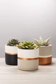 Concrete Succulent Planter Bronze Gold Cement Cactus Pot Pencil Cup Bowl Tray 3sizes Three Colo Concrete Succulent Planters Diy Flower Pots Plant Pot Diy