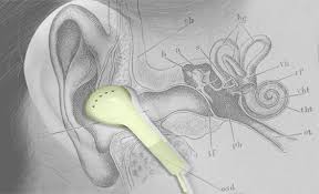 Your doctor will remove any debris in the ear canal. Earbuds That Won T Fall Out Testing Earhero Yurbuds Stayhear Tips And More
