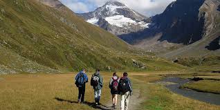 Check spelling or type a new query. Wandern Im Tauferer Ahrntal
