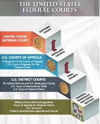 After you got the key, you can return to the elevators and go down to the main hall. Federal Courts For Teachers Students And Lifelong Learners Southern District Of Florida United States District Court