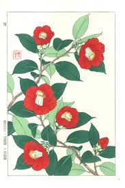 Kawarazaki Shodo Tsubaki Japanese Camellia Japanese Woodblock Printing Flower Art Botanical Prints
