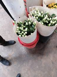 Maybe you would like to learn more about one of these? Identify Flowers In An Image And Count Stack Overflow
