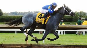 2020/21 road to the kentucky derby. William Hill Makes Jackie S Warrior 2021 Kentucky Derby Futures Favorite