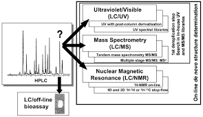 Image result for Jamesbrittenia fodina × huillana