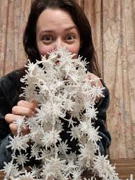 🎄✨ And the Winner Is… The moment is here — we're announcing the winner of  our Best Christmas Holiday Card Contest 🎁 Why do we do this? To say thank  you to