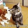 # love # heart # feel better # sending love # get well soon. 1