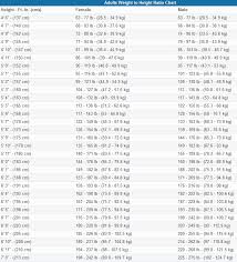 Download Monthly Weight Loss Log With Charts Excel Template