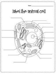 Maybe you would like to learn more about one of these? Cells Microscope Activity Unit Cells Worksheet Plant And Animal Cells Animal Cells Worksheet