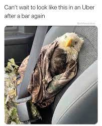 Can T Wait Top Look Like This In An Uber After A Bar Again Eagle Meme Shut Up And Take My Money
