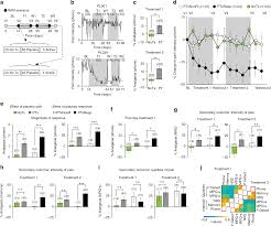 All models, actors, actresses, and other persons that appear in any visual depiction of actual sexually explicit conduct appearing or otherwise contained in this website were over the age of eighteen years at the time of the. Brain And Psychological Determinants Of Placebo Pill Response In Chronic Pain Patients Nature Communications