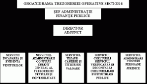 Auditor intern in sectorul public. Sistemul De Organizare A Trezoreriei Statului Finate Publice