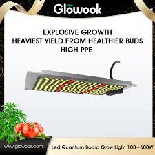 Whether you're growing plants indoors. China Free Sample For Cmh Grow Light Led Quantum Board 100w 600w Radiant Manufacturers And Suppliers Radiant