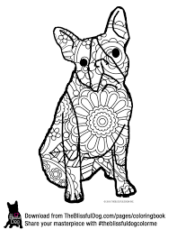 Art of boston terrier book volume no. Pin On Nothing Butt Frenchies 3