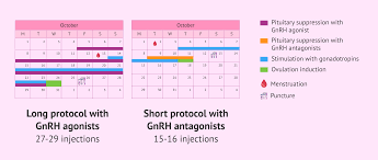 Image result for GnRH Stimulation Test