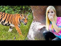 Extreme Hide And Seek In A Zoo Youtube In 2020 Zoo Hide Extreme