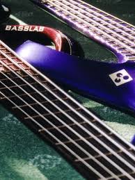 Basslab Usa Custom Guitars And Basses