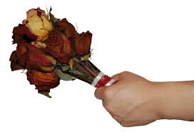 5 out of 5 stars. 5 Random Approaches To Romance For Rebels Drying Roses Garden Trowel Garden Tools