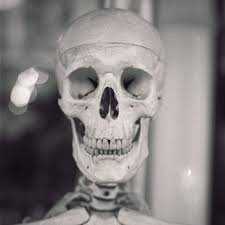 Mike Lown (@wagthefilm) • Instagram photos and videos