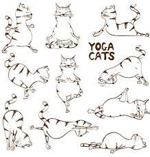 Funny Sketch Cat Doing Yoga Position Vector On Vectorstock Funny Sketches Cat Yoga Yoga Illustration