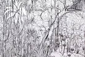 stephanie nava dessin de foret jungle st. coloriage sebastian par el greco