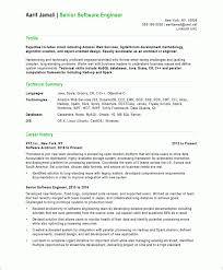 software developer free resume