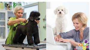 It is vital to make our lives more wonderful as well as imperative for our wellbeing. Happy Dog Groomers E Academy Available Courses