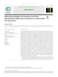 Image result for Corchorus saxatilis