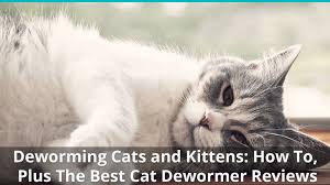 In the case of overdosing, it's recommended to take the pet to the vet immediately. Best Cat Dewormer For Roundworms Tapeworms Otc Prescription