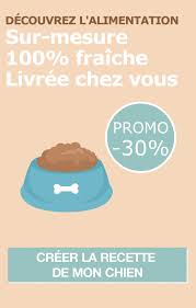 Animate(withduration:animations:) animate changes to one or more views using the the total duration of the animations, measured in seconds. Animaute Le Site 1 Pour Trouver Un Pet Sitter