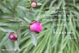 And The Day Came When The Risk It Took To Remain Tight In The Bud Became Greater Thanthe Risk It Took To Blossom Quote Blossom Quotes Blossom Peonies Garden