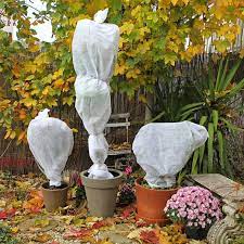 Haies pour terrasses et balcons en kit. Hivernage Proteger Vos Plantes En Hiver Gamm Vert