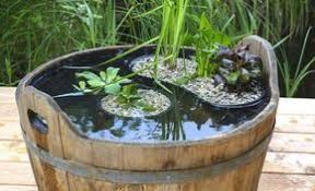 So Legen Sie Einen Miniteich Richtig An Miniteich Miniteich Anlegen Gartenteich