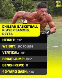 We did not find results for: Bleacher Report On Twitter Sammis Reyes Came To The U S From Chile To Pursue A Career In Basketball After Going Off At Florida S Pro Day He Signed With Washington As A Te