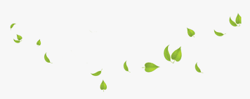 May 13, 2020 · interlace will load the png progressively within a web page. Green Leaves Transparent Background Transparent Background Leaves Png Png Download Kindpng