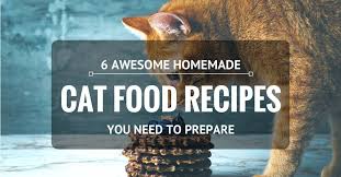 Several years ago, lynette ackman of chicago began making food at home for her five rescue cats. 6 Awesome Homemade Cat Food Recipes That You Need To Prepare