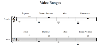 Introducing The Voice Types By Parug Demircioglu Medium